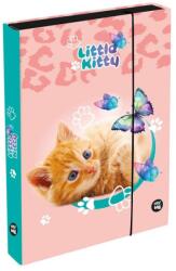 KARTON P+P Dosar cu elastic, A4, Little Kitty Jumbo, Oxybag