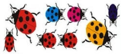  Set abtibilduri buburuze multicolor, 8 bucati, pentru auto si decor (DZ-5) (TCT-2187)