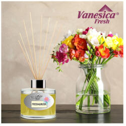  Odorizant de camera Vanesica Atmosfera 100 ml cu betisoare, pentru casa si birou (241116-1)