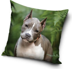  Kutyás Pit Bull Terrier párnahuzat 40x40 cm (CBX195003PD) - eking