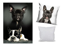  Kutyás polár takaró, párnahuzat és párna szett 3 db-os (Bulldog Moments) (EKING0559)