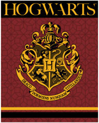  Harry Potter Crest coral fleece polár takaró 120x150cm (EMM5248361) - eking