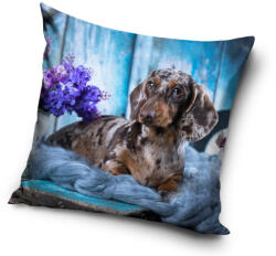  Kutyás Dachshund párnahuzat 40x40 cm (CBX181001PD) - eking