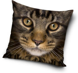  Cicás Golden Gaze párnahuzat 40x40 cm (CBX191062PD) - eking