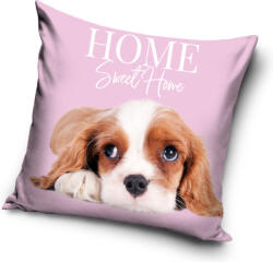  Kutyás Spaniel párnahuzat 40x40 cm (CBX214052PNL) - eking