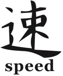  Abtibild auto Speed negru, autocolant decorativ pentru exterior/interior, DZ-22 (300923-6)