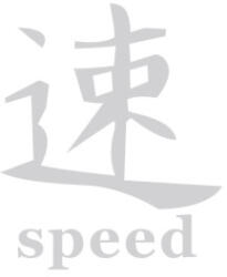  Abtibild auto Speed alb reflectorizant, pentru exterior si interior, DZ-24 (241125-4)