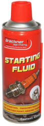  Spray pentru pornire rapida motor la rece sau la cald, 450 ml (BK83005) (050721-1)