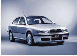  Set perdele auto interior 5 piese pentru Skoda Octavia I Tour 1U (1996-2004) ARTFL5 (TCT-1856)