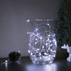 Family Collection LED гирлянд 50xLED/3xAA 5, 25m студено бяло (LC3527)