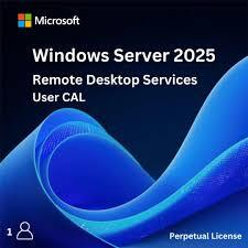 Microsoft Софтуер Windows Remote Desktop Services CAL 2025, Английски, OEI, 1 User CAL - EP2-16845 (EP2-16845)