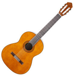 Yamaha Класическа китара C40 NAT EX by Yamaha