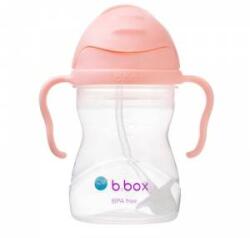 b.box Innovative Tutti Frutti Straw Water Bottle 6m+ B. Box