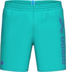 Arena Logotype Beach Boxer (009102-890)