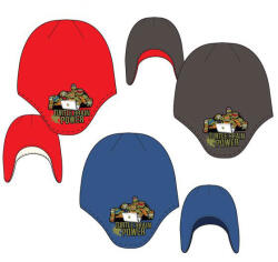  Tini Nindzsa Teknőcök Power gyerek sapka 52-54 cm (SNXHO4128)