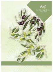 TopTimer Tanári zsebkönyv TOPTIMER Prof fóliázott papírborító A/5 heti 145x205 mm Oliva 2026-2027 (27P100J-00C)