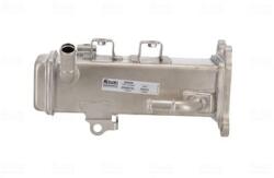 NISSENS Chladič pre recirkuláciu plynov NISSENS 989600 (989600)