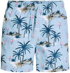 JACK & JONES Плувни шорти jpstmaui vibes novelty aop swim sn