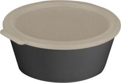 Koziol Recipient pentru prânz Move Box 1, 3 l gri (100050701)