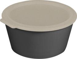 Koziol Recipient pentru prânz Move Box 2, 2 l gri (100060701)