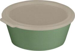 Koziol Recipient pentru prânz Move Box 1, 3 l verde (100050703)