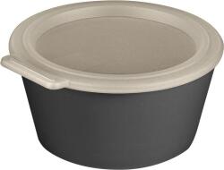 Koziol Recipient pentru prânz Move Box 700 ml gri (100040701)