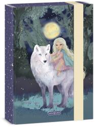 Ars Una Füzetbox ARS UNA A/5 Northern Lights (50865277)