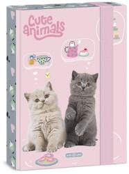Ars Una Füzetbox ARS UNA A/5 Cute Animals-Tea Party (50865321)