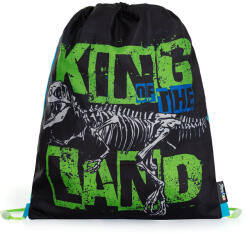 KARTON P+P BAG Tornazsák Premium Dinosaurus (AAE779)