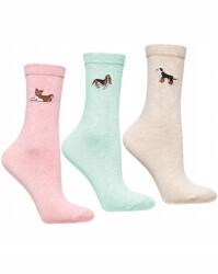 Moraj Női pamut zokni, Hímzett Kutyusok, Színes, 3-CSOMAG, 38-41 (CSL250-904)
