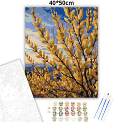  Alkonyi aranyvesszők - számfestő készlet