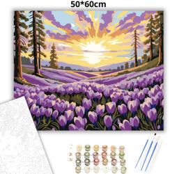  Pirkadati krókusztenger - számfestő készlet - 50×60 cm (Keretre feszítve)