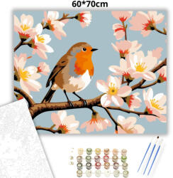  Tavaszi vörösbegy - számfestő készlet - 60×70 cm (Keret nélkül)