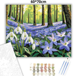  Csendes ibolyaszőnyeg - számfestő készlet - 60×70 cm (Keret nélkül)