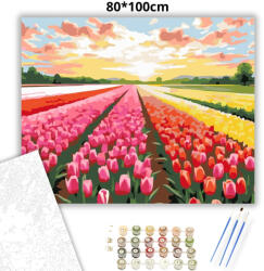  Színes tulipánmező - számfestő készlet - 80×100 cm (Keretre feszítve)