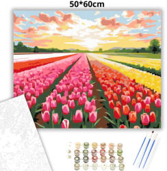  Színes tulipánmező - számfestő készlet - 50×60 cm (Keret nélkül)