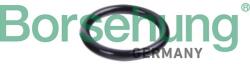 Borsehung Tesniaci krúżok potrubia chladiacej kvapaliny Borsehung B10632 (B10632)