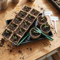  Palántanevelő készlet - 66 db-os - 35, 4 x 23, 7 x 6, 1 cm (11989)