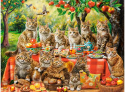 Castorland 300730 - Cat Family Reunion - 3000 db-os puzzle (300730)