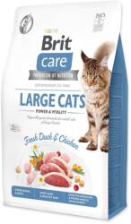 Brit Care Large Cats Power & Vitality _400g gabonamentes Nagytestű (8595602540914)