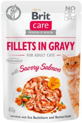 Brit Care macskáknak szánt lazacfilé szószban 24 x 85 g