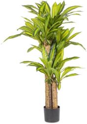 Bizzotto DRACEANA zöld műanyag művirág - dodo - 106 990 Ft