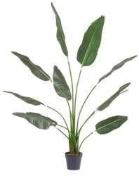 Bizzotto STRELITZIA zöld műanyag művirág - dodo - 82 690 Ft