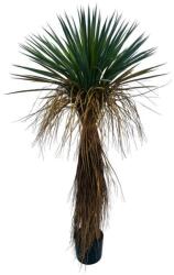 Bizzotto YUCCA sárga műanyag művirág