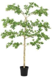 Bizzotto PITTOSPORUM zöld fém művirág - dodo - 88 190 Ft