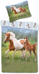 Állatok Lovas Little Hooves ágyneműhuzat 140×200cm, 70×90 cm