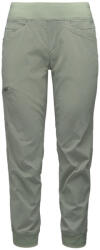 Black Diamond W TECHNICIAN JOGGER PANTS (AP7501653053LRG1)