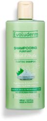 Evoluderm Sampon pentru par gras Rituel D'Argile, 400ml, Evoluderm