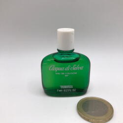VICTOR Acqua Di Selva ASW M 100 ml - pcone