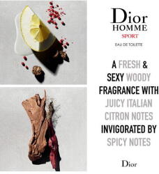 Dior Dior Homme ASW M 100 ml - pcone